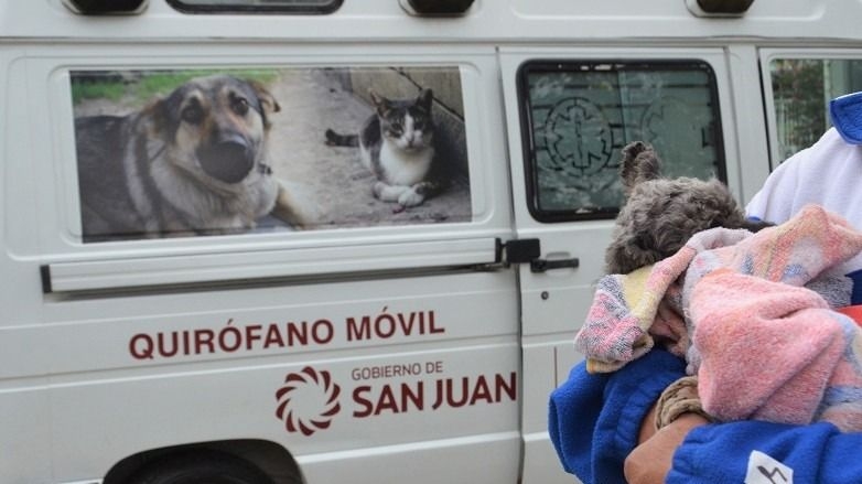 Por primera vez, Calingasta cuenta con un quirófano gratuito para mascotas