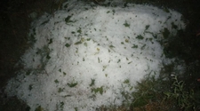 Granizo en San Juan: daños en cultivos y autoevacuados tras una tormenta en Jáchal
