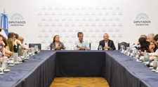 Ley Ómnibus: este miércoles se debate en Diputados