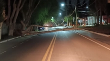 Un árbol se desplomó por el fuerte viento y obstruyó el tránsito en Santa Lucía