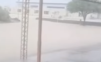 El Parque Ischigualasto mantiene suspendidas las excursiones