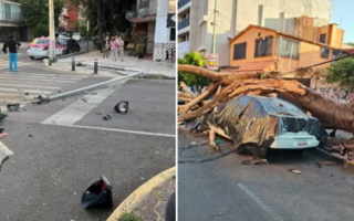 Fuerte terremoto de magnitud 6,5 sacudió a México