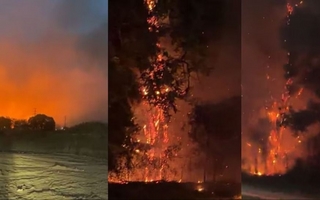 Un incendio arrasó bosques y plantaciones cerca del aeropuerto de Ezeiza