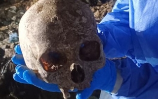 Un cráneo humano fue encontrado por un cartonero en un basural de Albardón