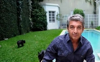 Elegancia y modernidad: así es la histórica mansión de Ricardo Darín