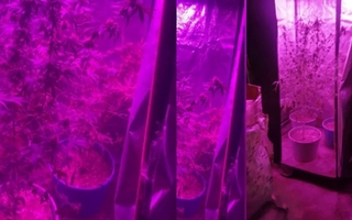 Un allanamiento por armas terminó en detención por tenencia de marihuana