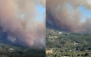 Un incendio forestal obligó a evacuar vecinos y turistas en Puerto Patriada