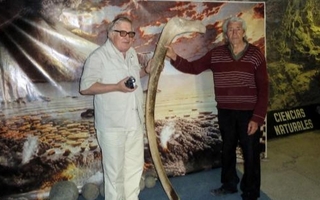 El gabinete de curiosidades de la montaña: los objetos más insólitos del Museo Einstein de Zonda