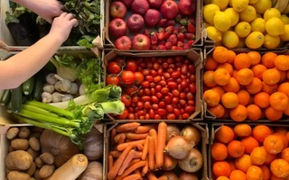 Nueva traba de Francia a Sudamérica: prohibirá alimentos