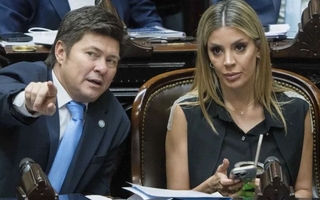 Virginia Gallardo presentó su primer proyecto en Diputados: en qué consiste