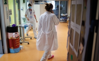 Gripe H3N2 en Argentina: confirman aumentos de los casos de la variante K