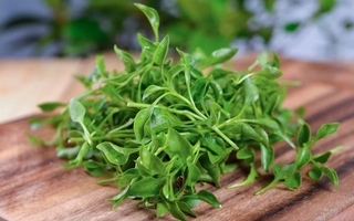 Berro, la verdura más saludable del mundo según los expertos