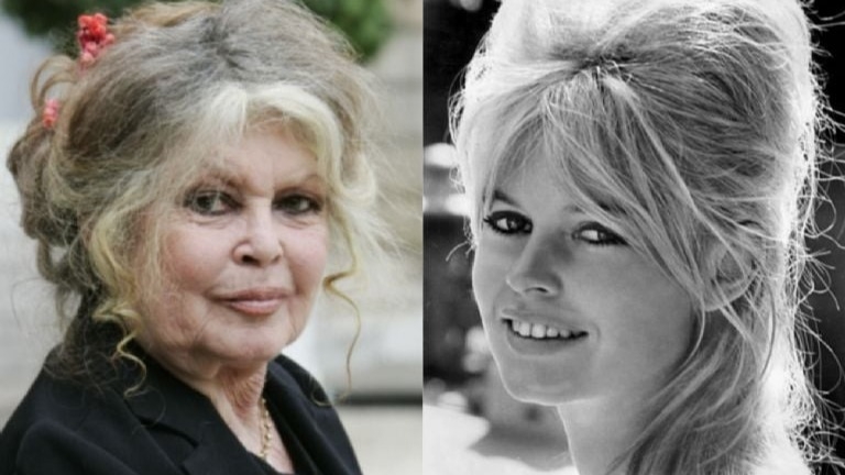 Brigitte Bardot y su lucha contra el cáncer: detalles de su final