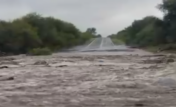 Lluvias intensas dejaron rutas intransitables y lugares inaccesibles en Valle Fértil