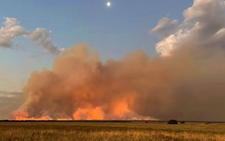 Banco Nación lanzó un rescate financiero tras incendios en La Pampa y Patagonia