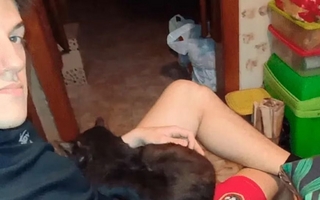 Un joven se sacó una foto con su gato y se volvió viral por lo que sale en el fondo