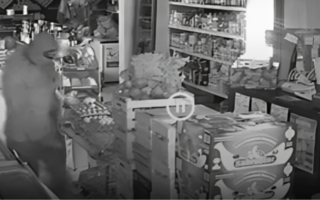 Millonario robo en Pocito: se llevan $6 millones de un minimarket