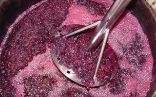 Una diputada sanjuanina vuelve a impulsar la Ley del Mosto