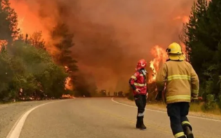 Incendios en Chubut: el mensaje de Milei a los bomberos