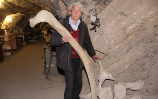 Una ley para ordenar los museos y un patrimonio en riesgo: el escenario que rodea al Museo Einstein