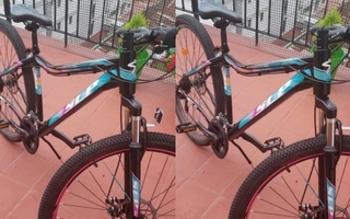 Aprehendieron a un hombre por intentar robar una bicicleta en Santa Lucía
