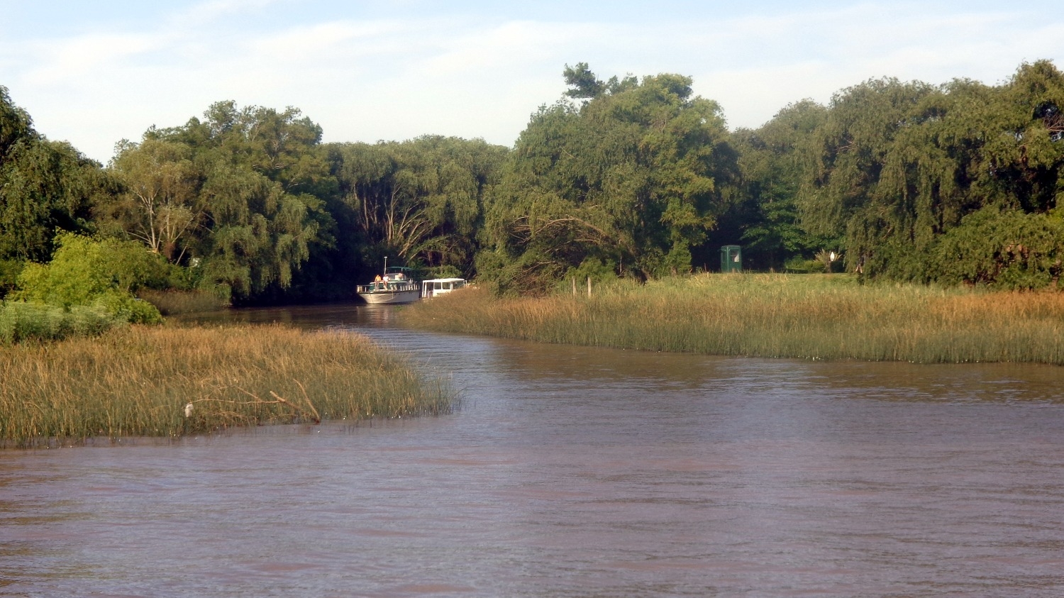 Doce carpinchos fueron trasladados al Delta de San Fernando tras los problemas en Nordelta