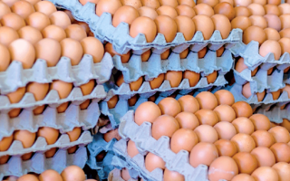 Los argentinos son los mayores consumidores de huevos del mundo