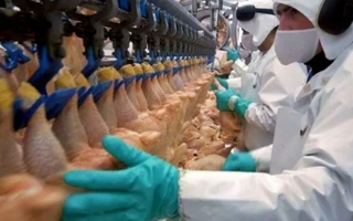 La mayor avícola del país empieza el año con salarios en cuotas y protestas