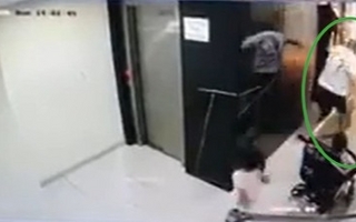 Golpeó brutalmente a un perro que atacó a su hija y dijo: “¡Vamos, Hitler!” 