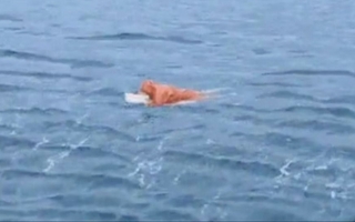 Milagro en Brasil: pescador sobrevivió 17 h aferrado a una heladera