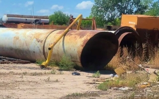 Horror en Mendoza: un perro halló restos humanos y los llevó a una casa