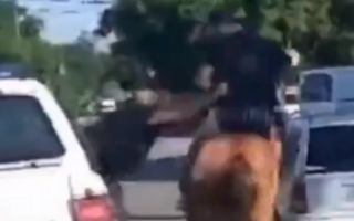 Impactante persecución: capturan a dos hombres que robaban a caballo