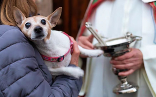 ¿Por qué se bendicen los animales el 17 de enero?