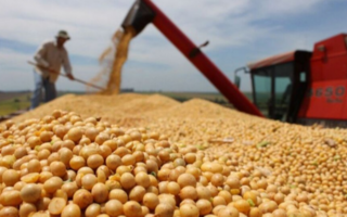 Exportaciones sudamericanas con acceso preferencial al mercado europeo