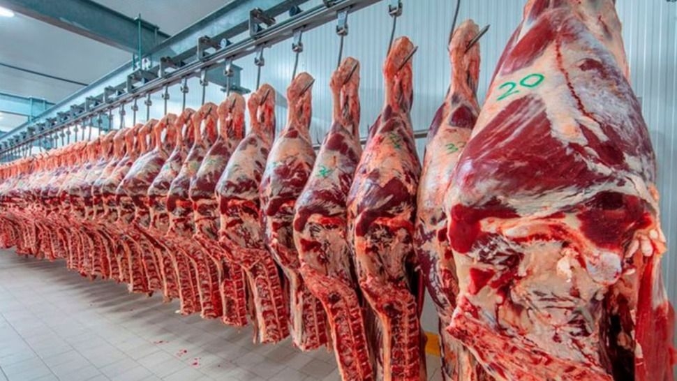 El acuerdo Mercosur-UE proyecta un año clave para la carne argentina