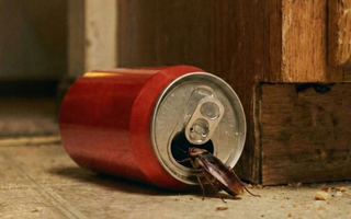El truco con latas que ayuda a eliminar cucarachas del hogar