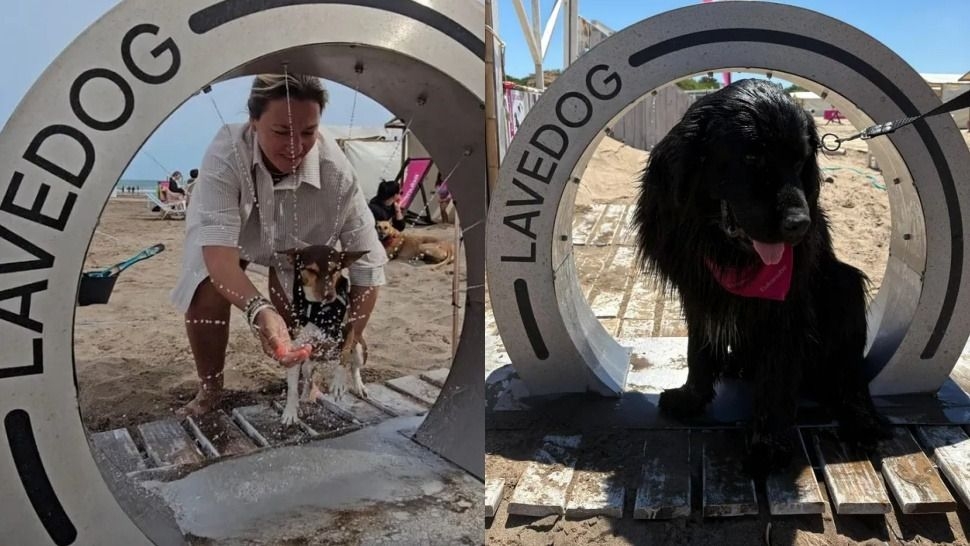 Mar del Plata estrena duchas caninas en balneario pet-friendly