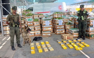 Impacto en San Juan: así escondieron 64 kilos de cocaína entre fruta; el camionero sigue prófugo