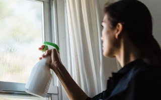 Empleada doméstica en febrero 2026: estos son los salarios vigentes