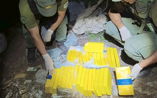 Changarines bajo la lupa: el reparto de cocaína entre bananas y el operativo que desbarató la maniobra