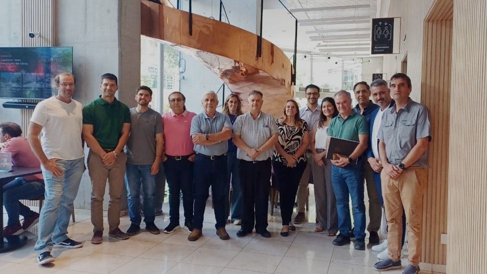 Siete bodegas concentran 100 millones de kilos de uva para salir al mundo