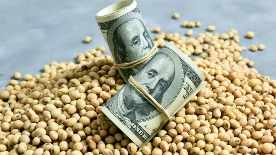 Las exportaciones del campo crecieron y superaron los US$ 50 000 millones en 2025