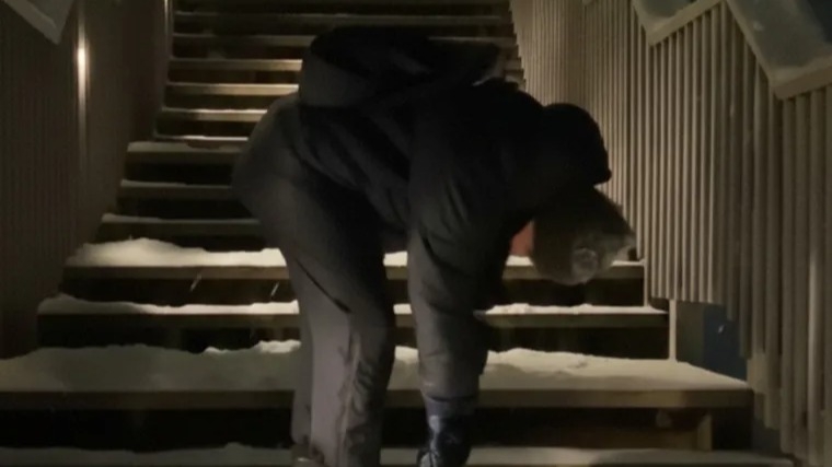 Groenlandia se burla de EE. UU.: viralizan parodia sobre la crisis del fentanilo