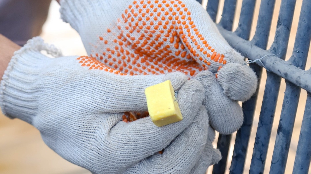 Capital: cronograma de desratización y recepción de reclamos del 26 al 30 de enero