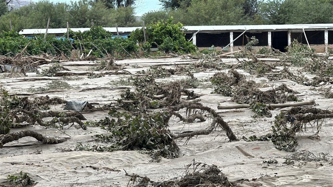 Vecinos de Zonda relataron pérdidas, daños y duros reclamos tras el temporal