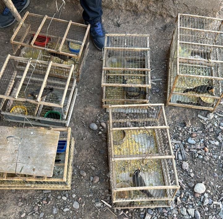 La causa es trabajada por la Dra. Graciela Rodríguez, del Juzgado de Paz de 25 de Mayo. 