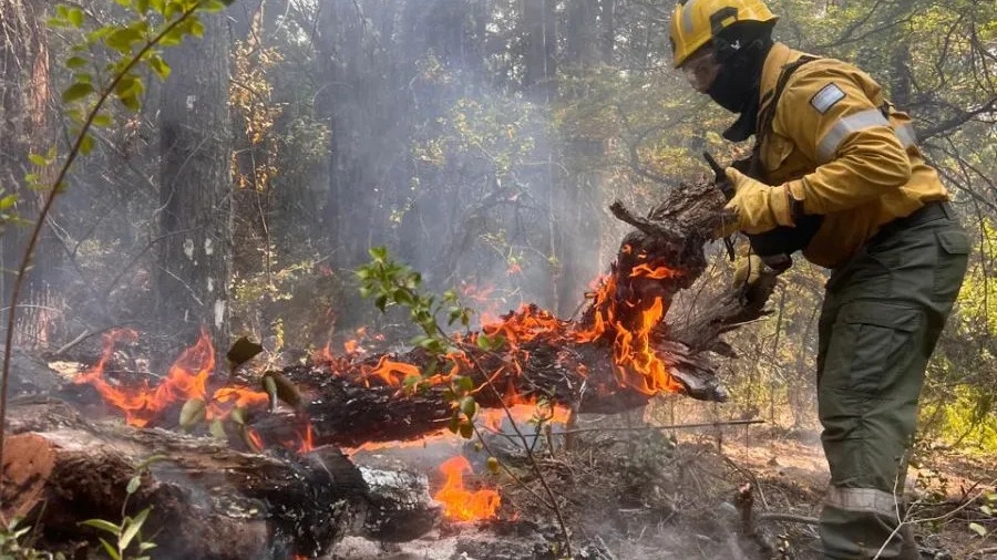 Bomberos sanjuaninos trabajan hasta 14 horas por día en los incendios de la Patagonia
