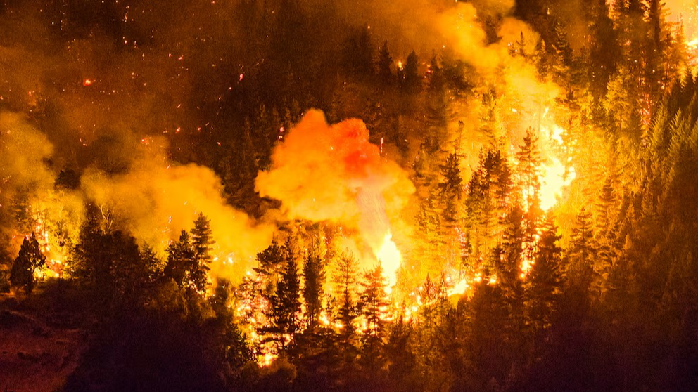 Incendios en la Patagonia: el Gobierno declaró la Emergencia Ígnea 