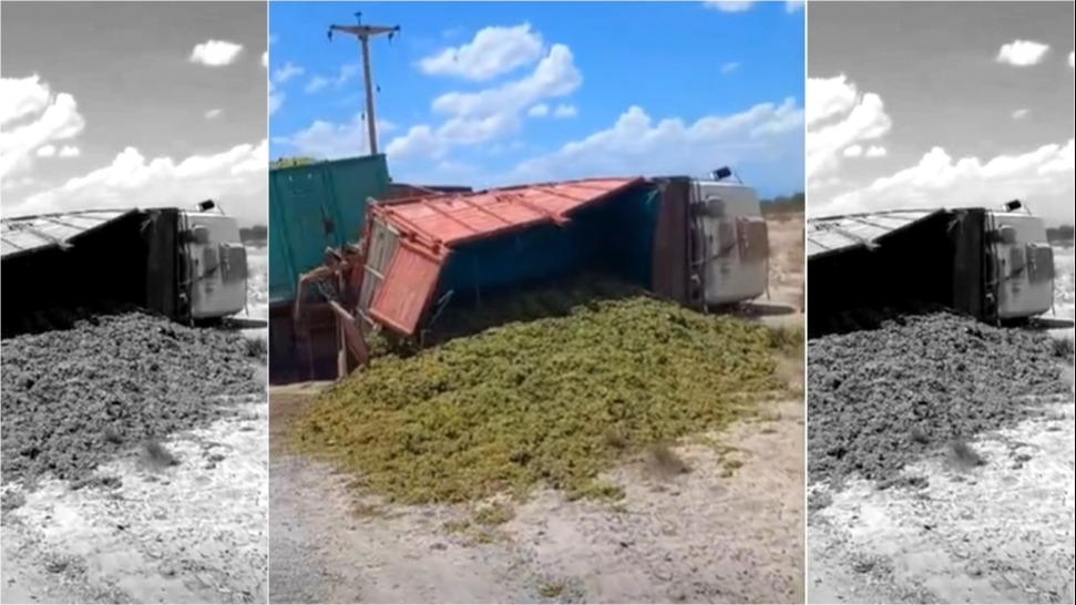 Sarmiento: un camión con uvas volcó y la mercadería quedó sobre la calzada