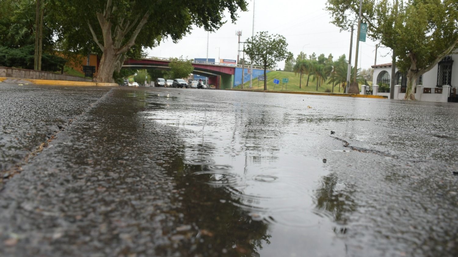 Alerta amarilla por tormentas: el fin de semana será inestable según el SMN